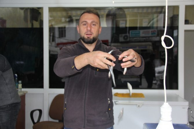 Artvinli Balıkçıdan Denetim İsyanı
