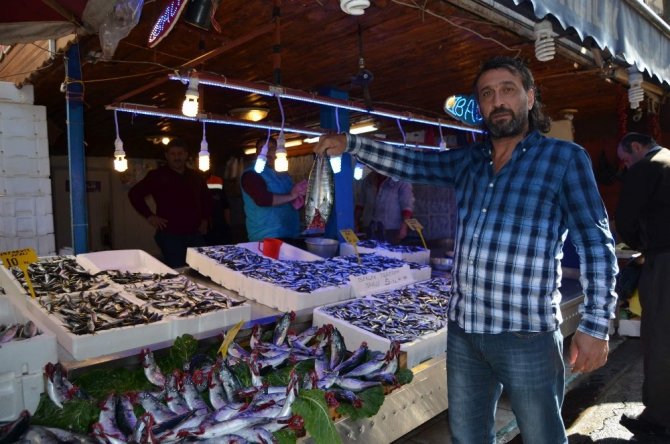 Trabzon’da Sezonun En Bol Hamsi Ve Palamut Avı Yüzleri Güldürdü