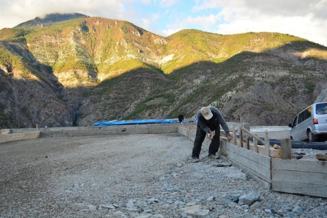 Artvin Hayvan Bakımevi’ne Kavuşuyor