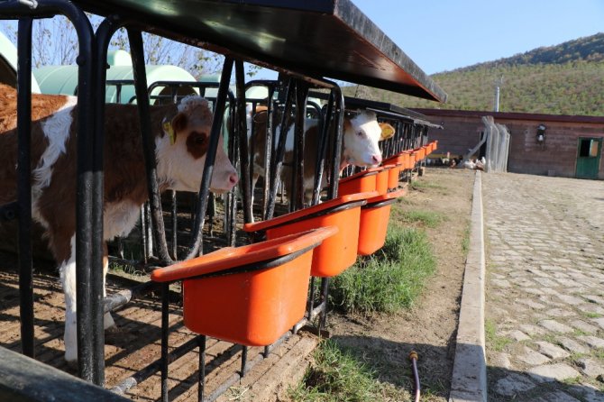 Emekli Oldu, Hayalini Gerçekleştirdi, Kendi Markasını Üretti