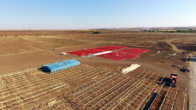 Kırmızı Biberle Türk Bayraklı Görsel Şölen
