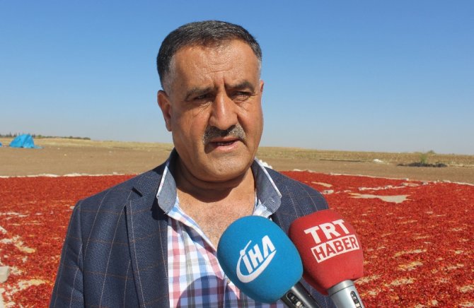 Kırmızı Biberle Türk Bayraklı Görsel Şölen