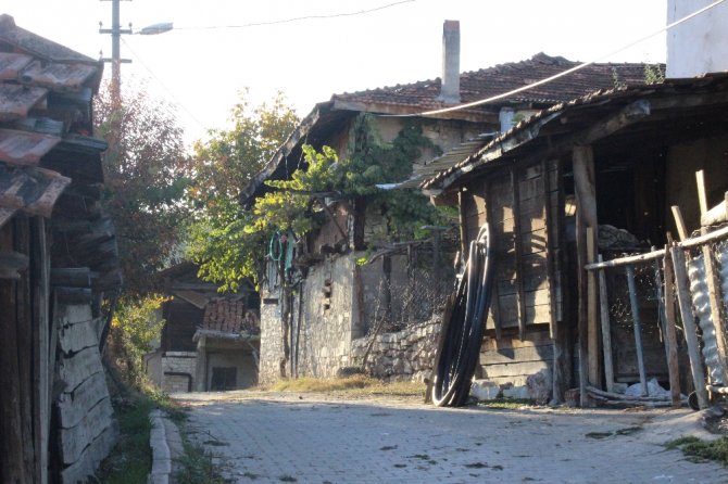 Yaşlılardan Başka Kimse Kalmadı