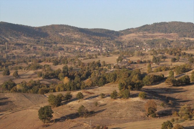Yaşlılardan Başka Kimse Kalmadı