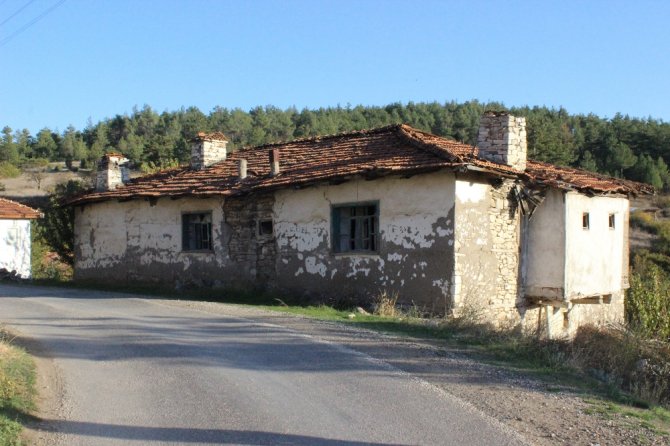 Yaşlılardan Başka Kimse Kalmadı