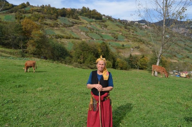 İnekleri Onun Herşeyi