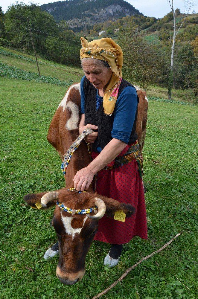 İnekleri Onun Herşeyi