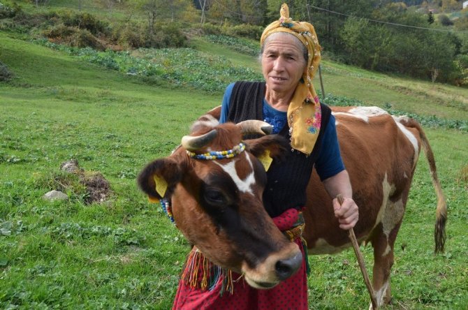 İnekleri Onun Herşeyi