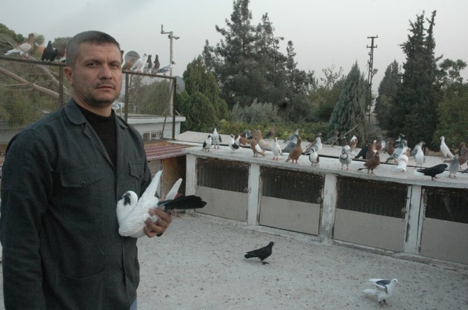 "Kuş Pazara, Ben Mezara”