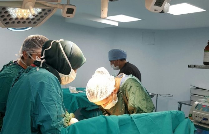 Organ Nakillerinin Yüzde 78’i Canlıdan