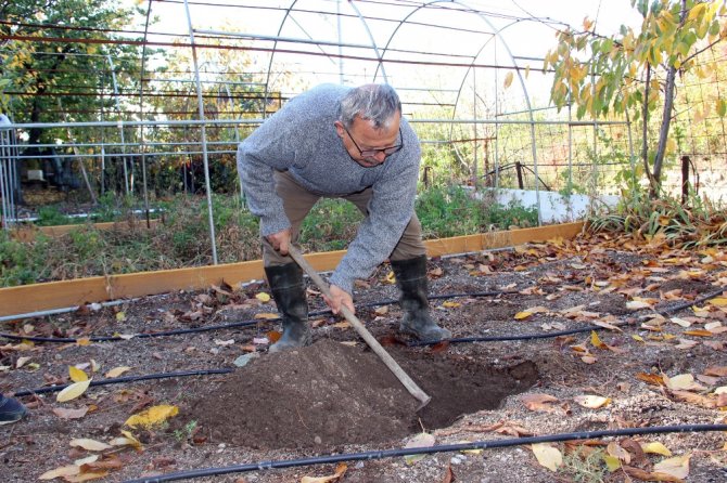 Çocukluğundaki Lezzetin Peşine Düştü, Yüzlerce Tohum Üretti