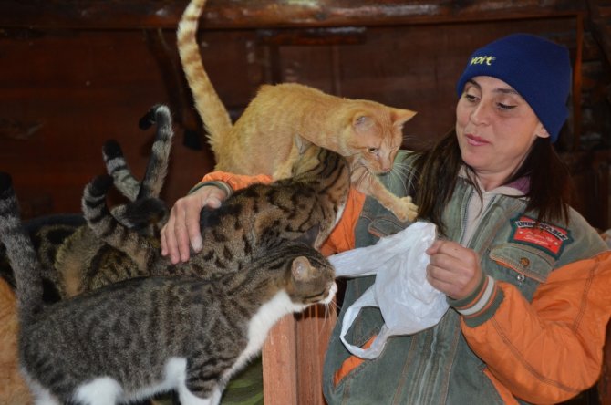 Evinde Onlarca Kedi Ve Köpekle Birlikte Yaşıyor