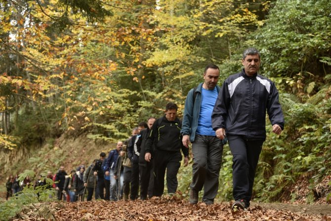Örümcek Ormanları Nefes Kesiyor