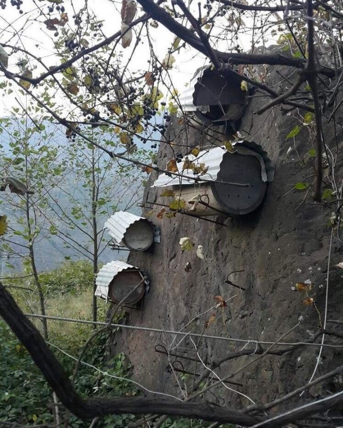 Doğu Karadeniz’de Geleneksel Arıcılık Tükenmek Üzere