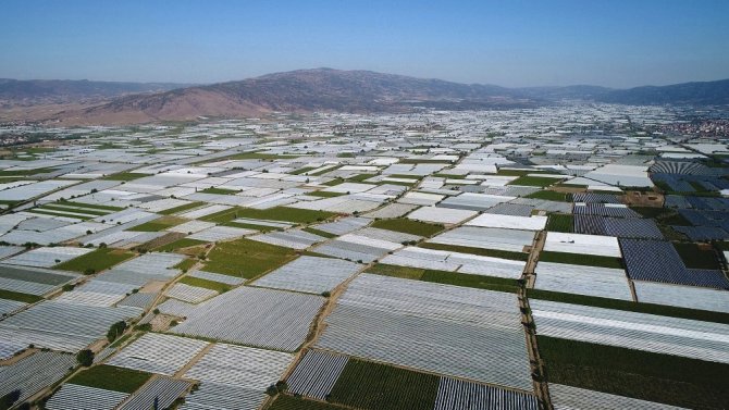 Rusya Kapıları Açtı Üzümde İhracat Arttı