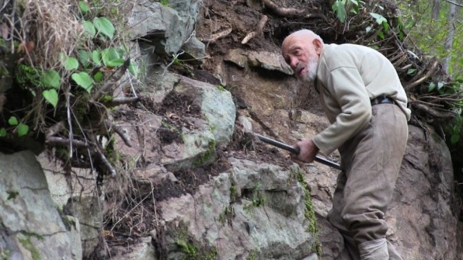 Artvin’in Örümcek Dedesi