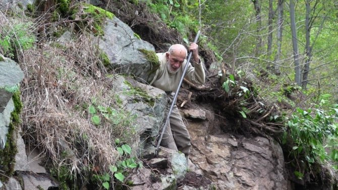 Artvin’in Örümcek Dedesi