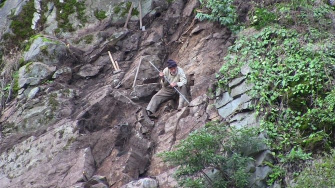 Artvin’in Örümcek Dedesi