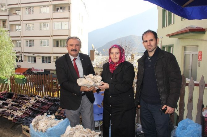 Akak’ın İlk İstiridye Mantarları Pazardaki Yerin Aldı