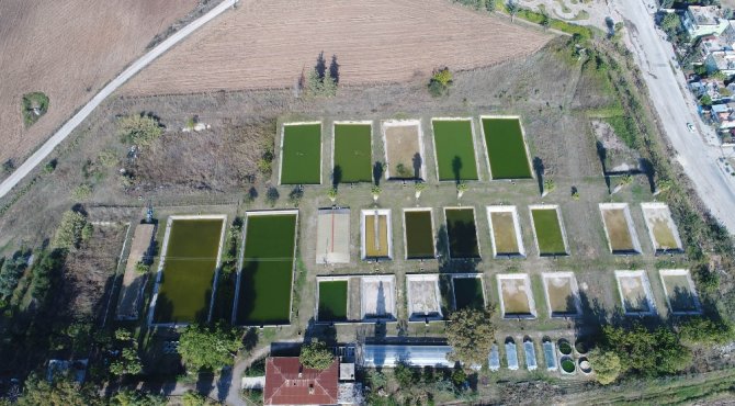 Karidese Yatıran Kazanıyor