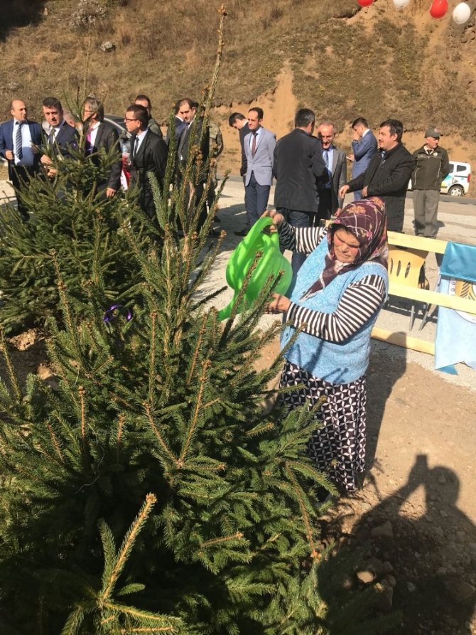 Şehit Eren Bülbül’ün Anısına Hatıra Ormanı Oluşturuldu