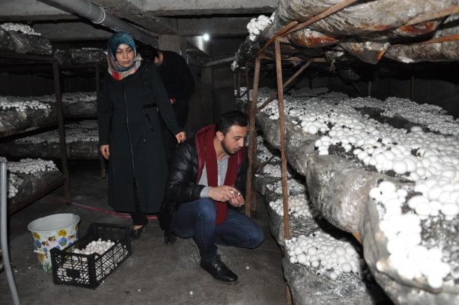 Hobi Olarak Başladı, İş Sahibi Oldu