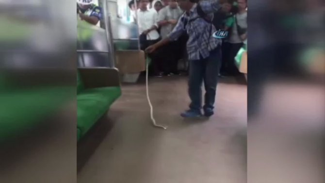Trenden Çıkan Yılanı Böyle Öldürdü