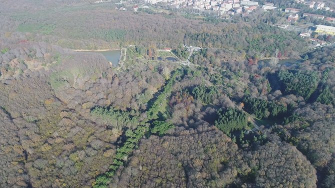 İstanbulluların Kaçış Mekanı