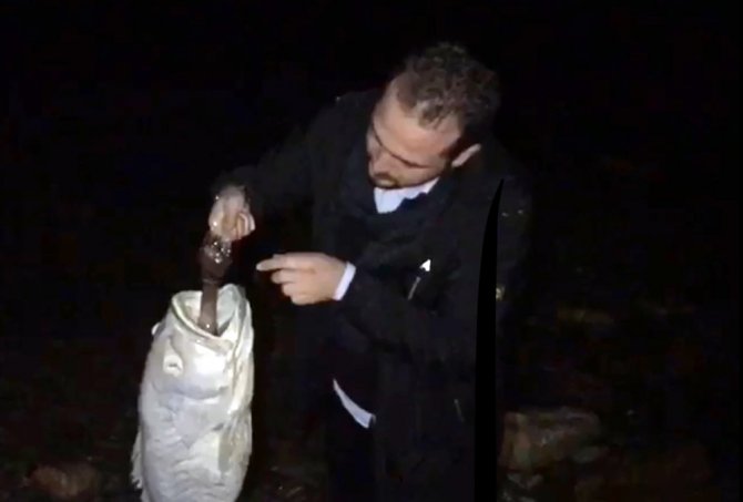 Nesli Tükenmekte Olan Balık “Pet Şişe” Kurbanı Oldu
