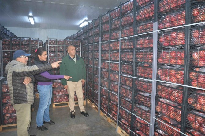 Ünlü Cerrah Çiftçiliğe El Attı