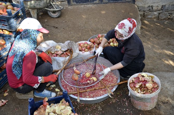 Nar Bu Yıl Üreticisini Memnun Etmedi