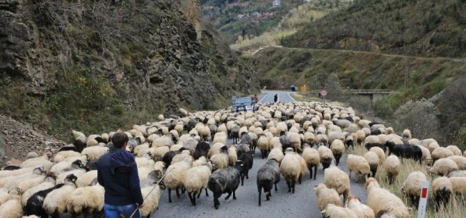 Son Yaylacılar Da Döndü