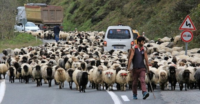 Son Yaylacılar Da Döndü