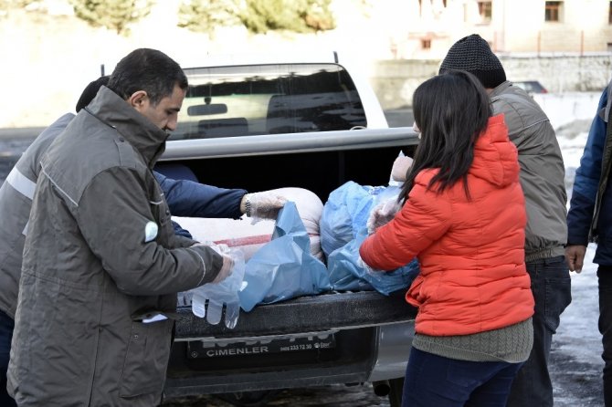 Gümüşhane’de Yoğun Kış Şartlarında Yaban Hayatı Unutulmuyor