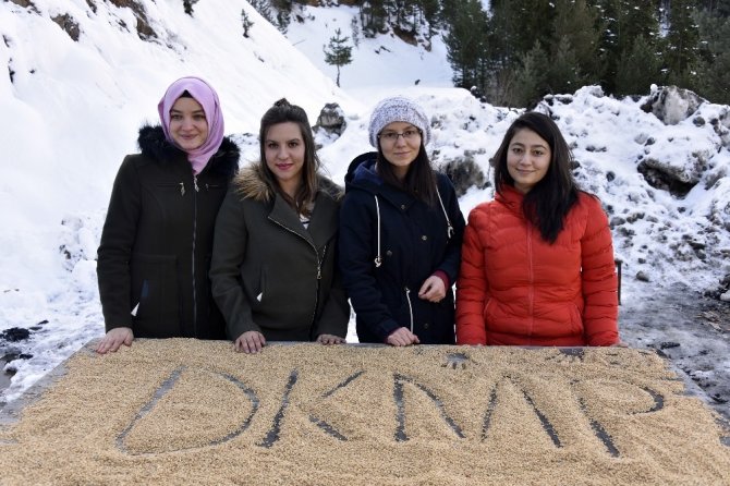 Gümüşhane’de Yoğun Kış Şartlarında Yaban Hayatı Unutulmuyor