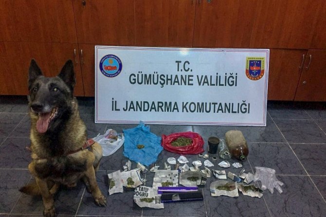 Gümüşhane’de Satışa Hazır Halde Uyuşturucu Ele Geçirildi
