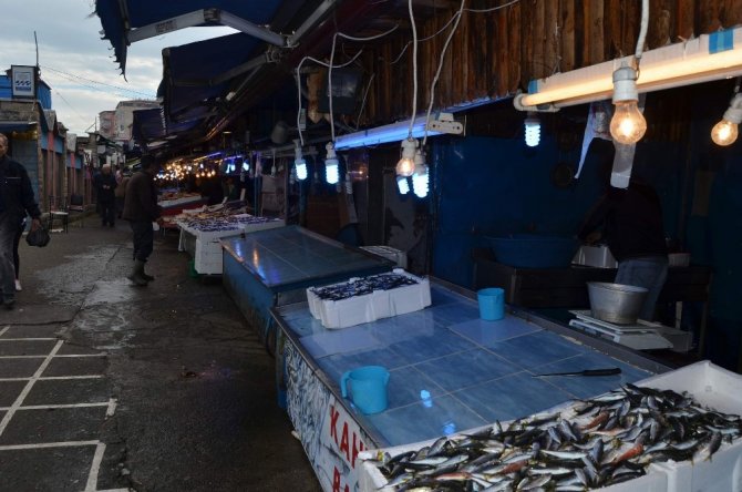 Hamsi’nin Ateşi Düşmüyor