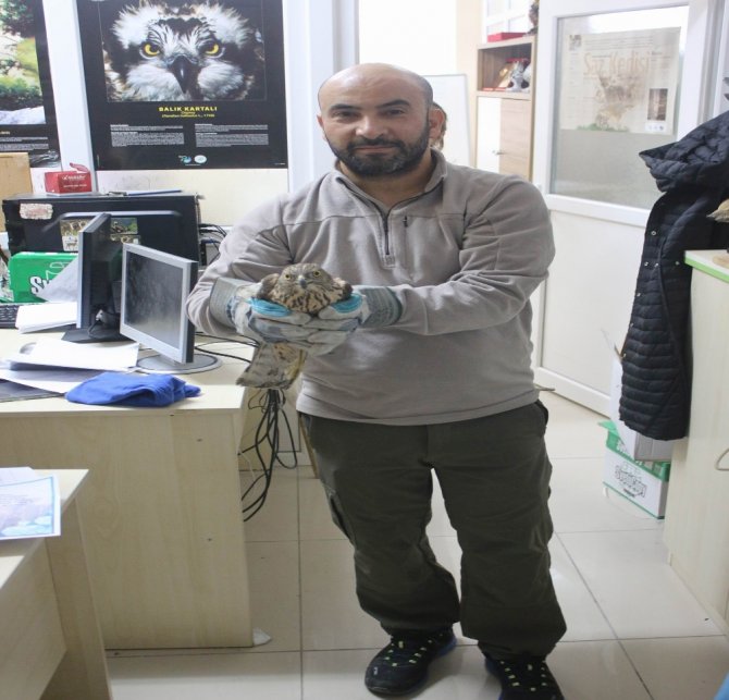 Kanadı Sıkışan Çakırkuşunu Ekolog Kurtardı