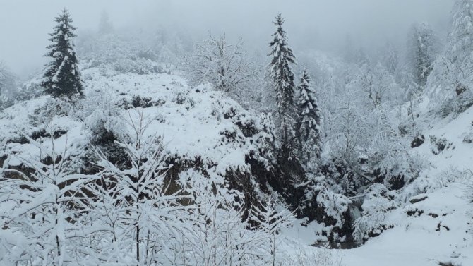 Giresun’da Kar Yağışı İç Ve Yüksek Kesimlerde Etkili Oluyor