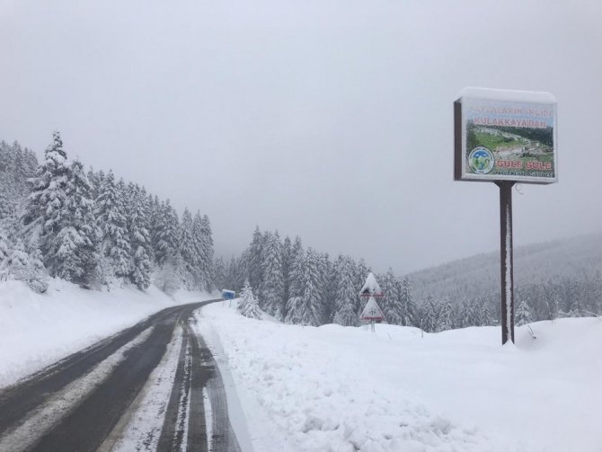 Giresun’da Kar Yağışı İç Ve Yüksek Kesimlerde Etkili Oluyor