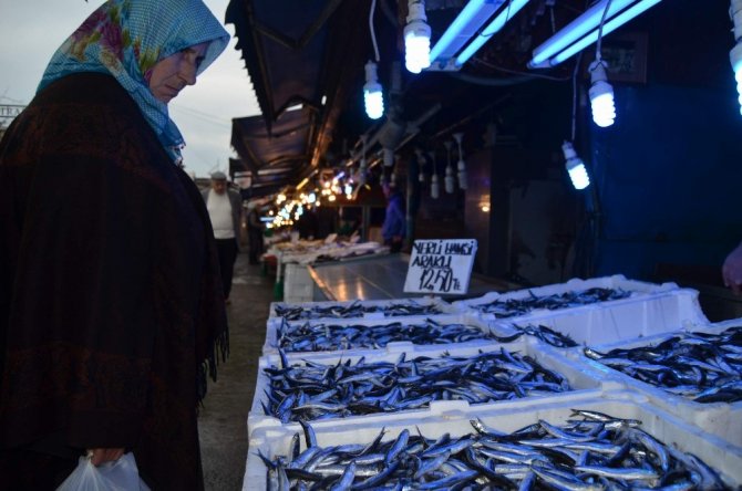 Karadeniz’de Ege Hamsisine Rağbet Yok Gözler Yılbaşından Sonra Rusya Ve Gürcistan’dan Gelecek Hamside
