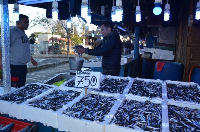 Gürcistan’dan Hamsi Geldi, Fiyat 7,5 Tl’ye İndi