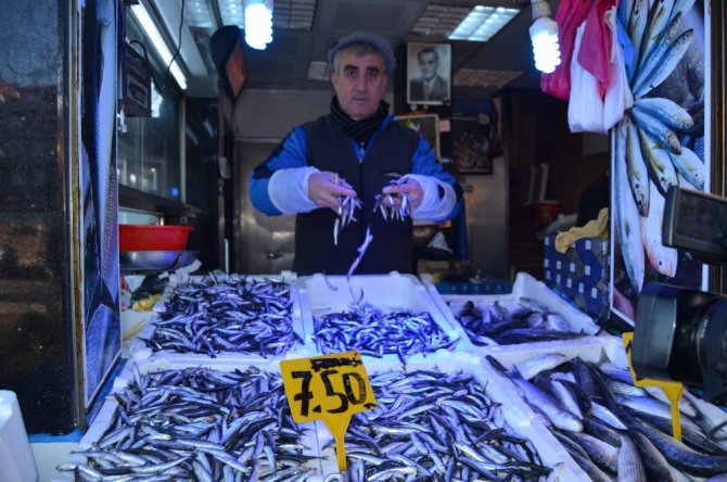 Gürcistan’dan Hamsi Geldi, Fiyat 7,5 Tl’ye İndi