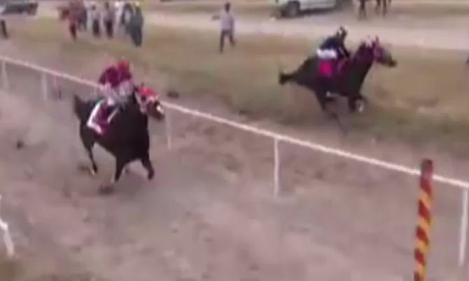Yarış Atı Hatalı Park Edilen Araca Böyle Çarptı