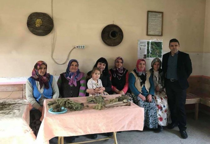 Isırgan Otu Ekonomiye Kazandırılıyor