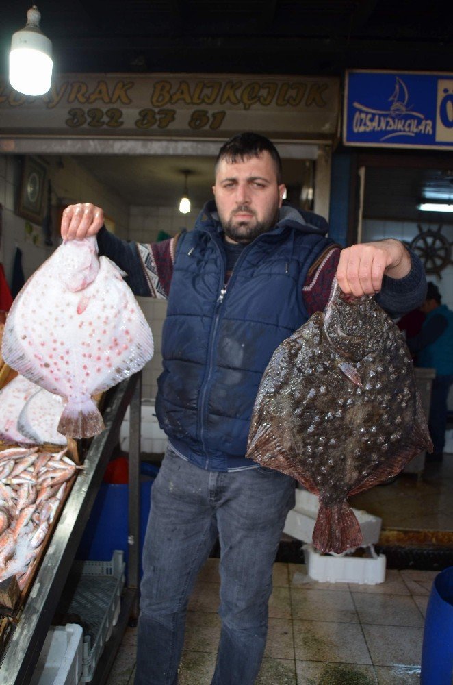 Kalkan’ın Fiyatı Altınla Yarışıyor