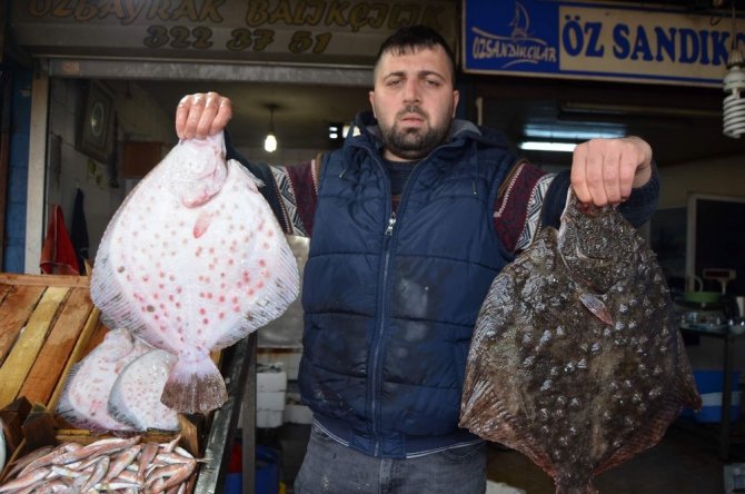 Kalkan’ın Fiyatı Altınla Yarışıyor