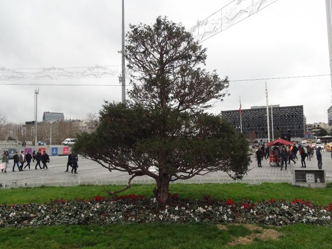 Taksim Meydanına Serçe Akını