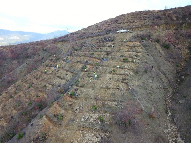 Anamur’da Yangının İzleri Silindi