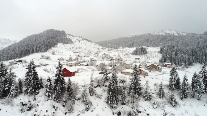 İki İlin Sınırında Bulunan Gölet Dondu